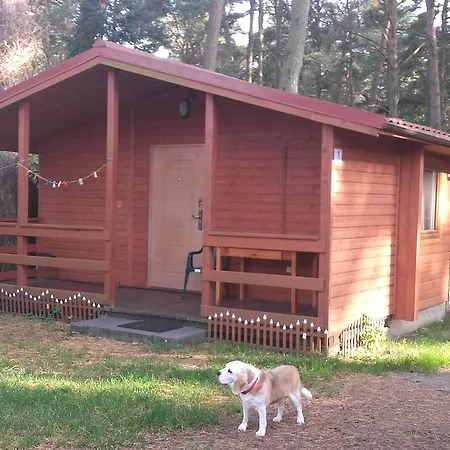 Ow Gabi * Międzywodzie