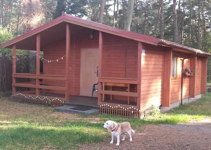 Ow Gabi * Międzywodzie